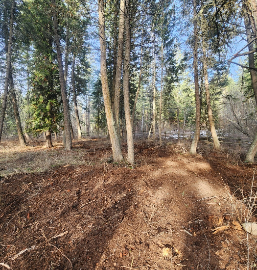 brush mowing